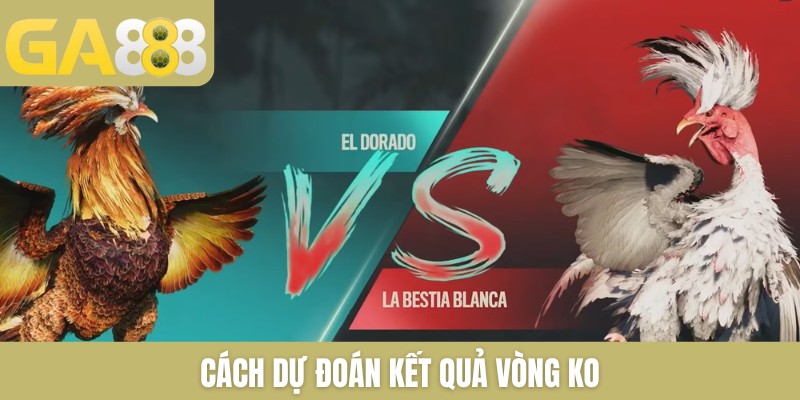 Cách dự đoán kết quả vòng KO