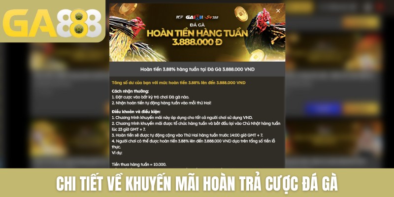 Chi tiết về khuyến mãi hoàn trả cược đá gà