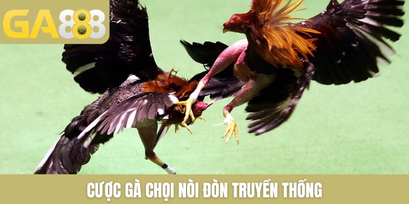 Cược gà chọi nòi đòn truyền thống