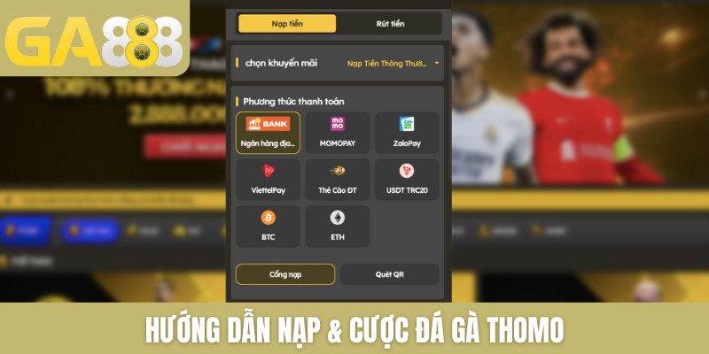 Hướng dẫn nạp & cược đá gà Thomo