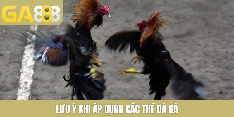 Lưu ý khi áp dụng các thế đá gà