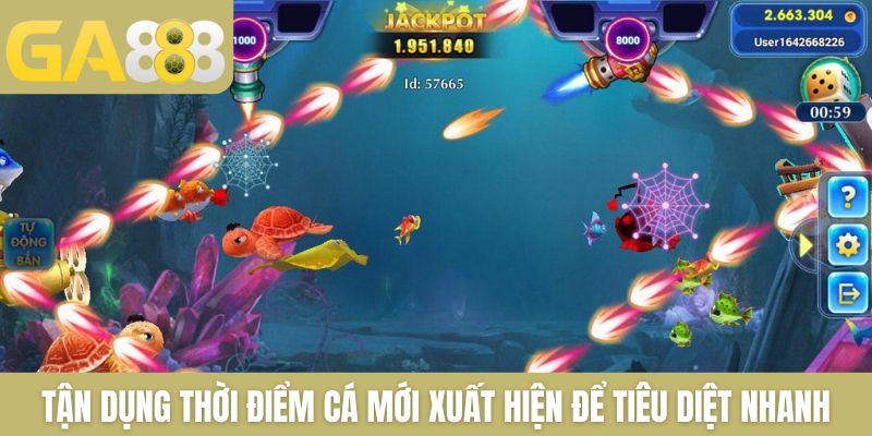 Tận dụng các thời điểm cá mới xuất hiện để tiêu diệt nhanh chóng