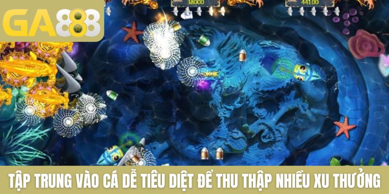 Tập trung vào cá dễ tiêu diệt để thu thập nhiều xu thưởng