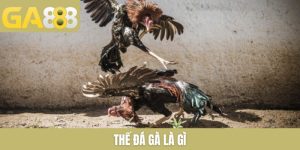 thể đá gà là gì