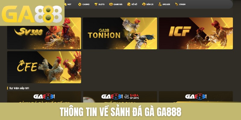 Thông tin về sảnh đá gà GA888